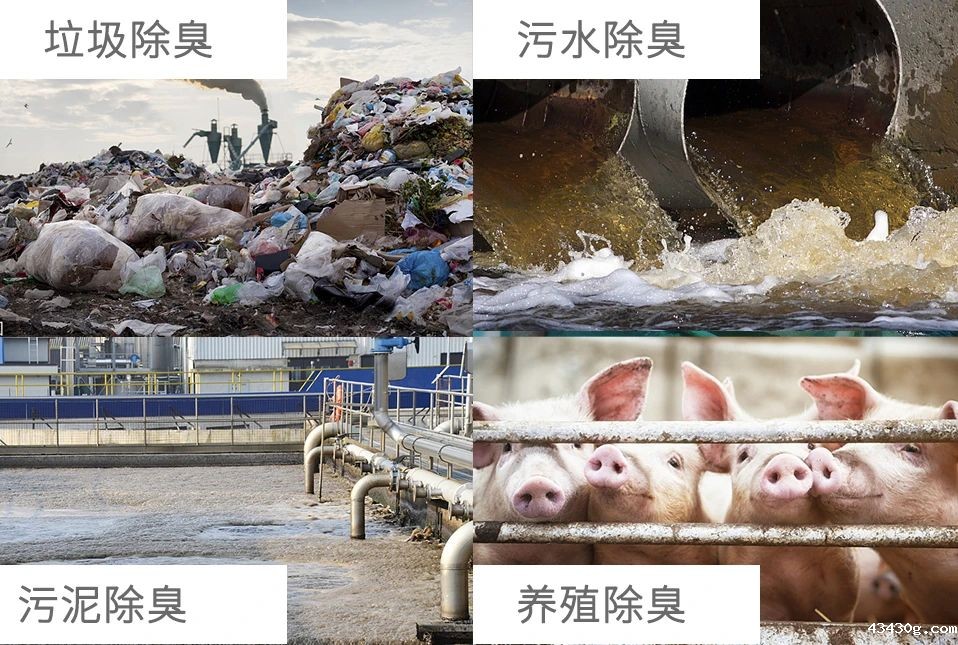 除臭场景.jpg